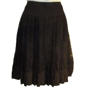 Debbie Shuchat
Black Sheer Pleated Skirt